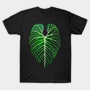 ANTHURIUM REGALE T-Shirt